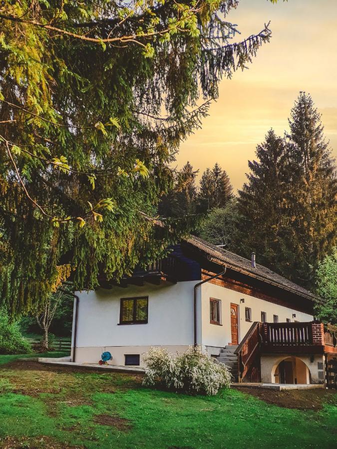 Ferienhaus Mooshuben Appartement Mariazell Buitenkant foto